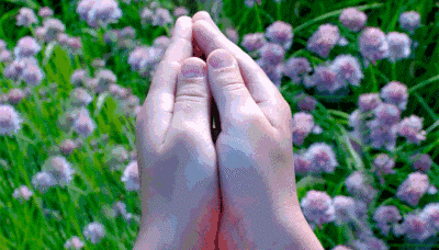 把手慢慢打开,里面竟藏着一只微型大象.gif 把手慢慢打开,里面竟藏着一只微型大象.gif