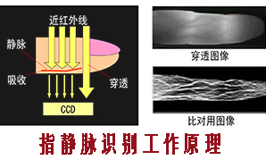 静脉识别技术原理图.jpg 静脉识别技术原理图.jpg