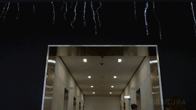11.gif 11.gif