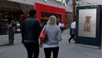 15.gif 15.gif