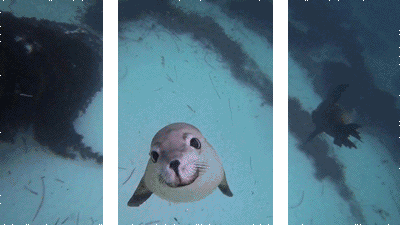微信图片_20220520114526.gif 微信图片_20220520114526.gif